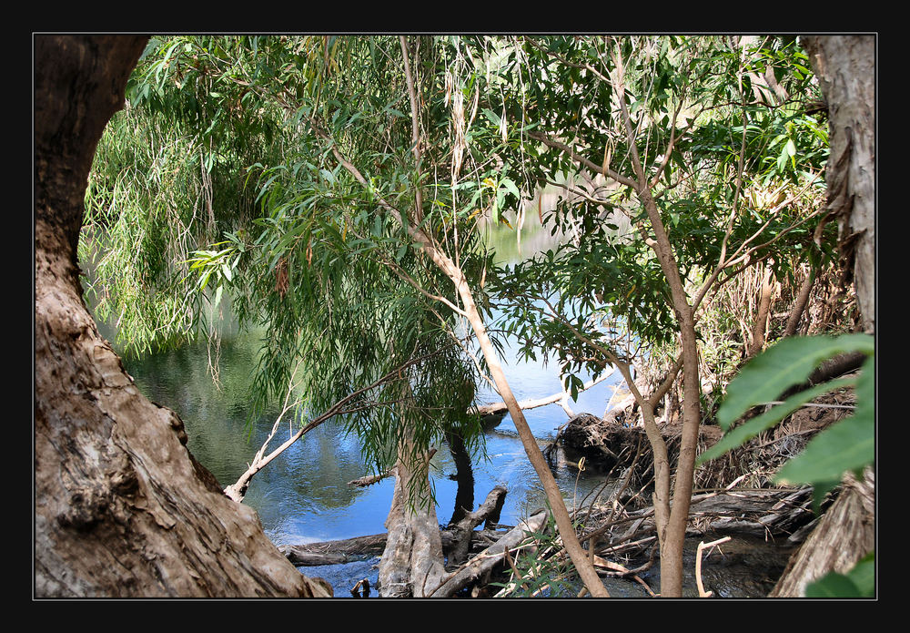 versteckt im Regenwald, der Roper River