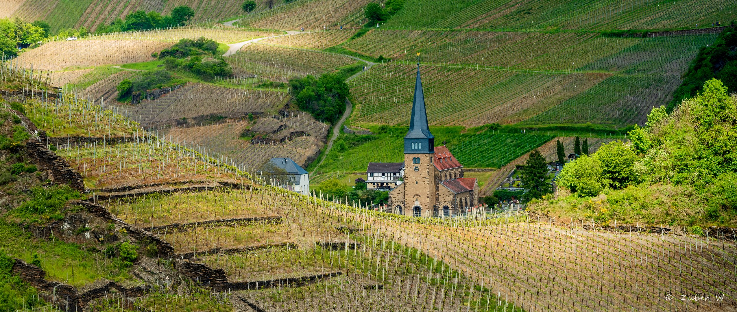 Versteckt in den  Weinbergen ...