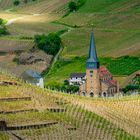 Versteckt in den  Weinbergen ...