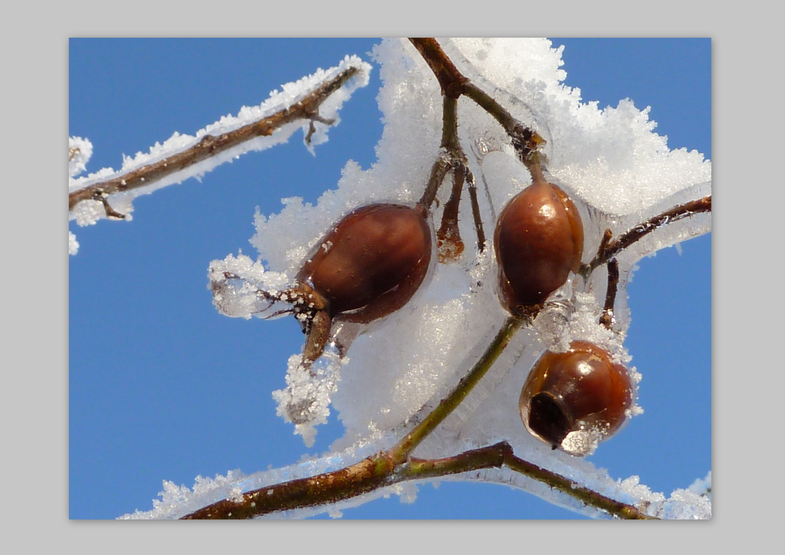 Versteckt unter Eis und Schnee