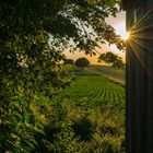 Versteckte Aussicht vom Stemmer Berg am Abend