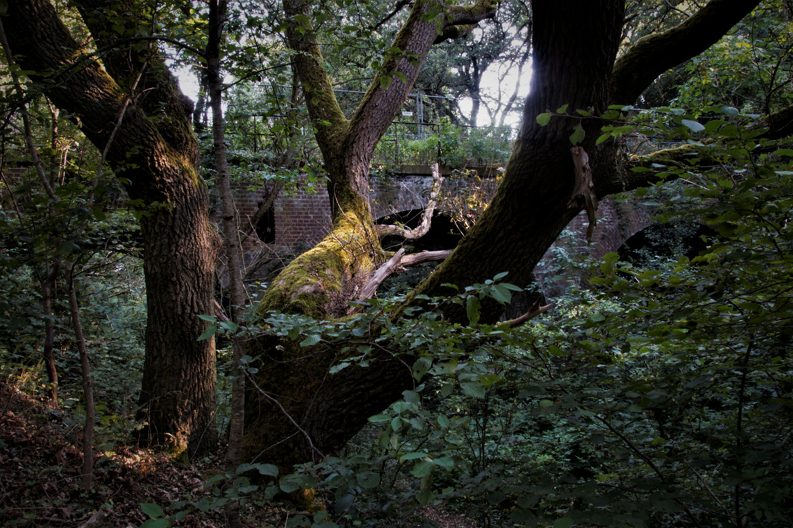 Versteckte Bücke Foto & Bild | architektur, deutschland, europe Bilder ...