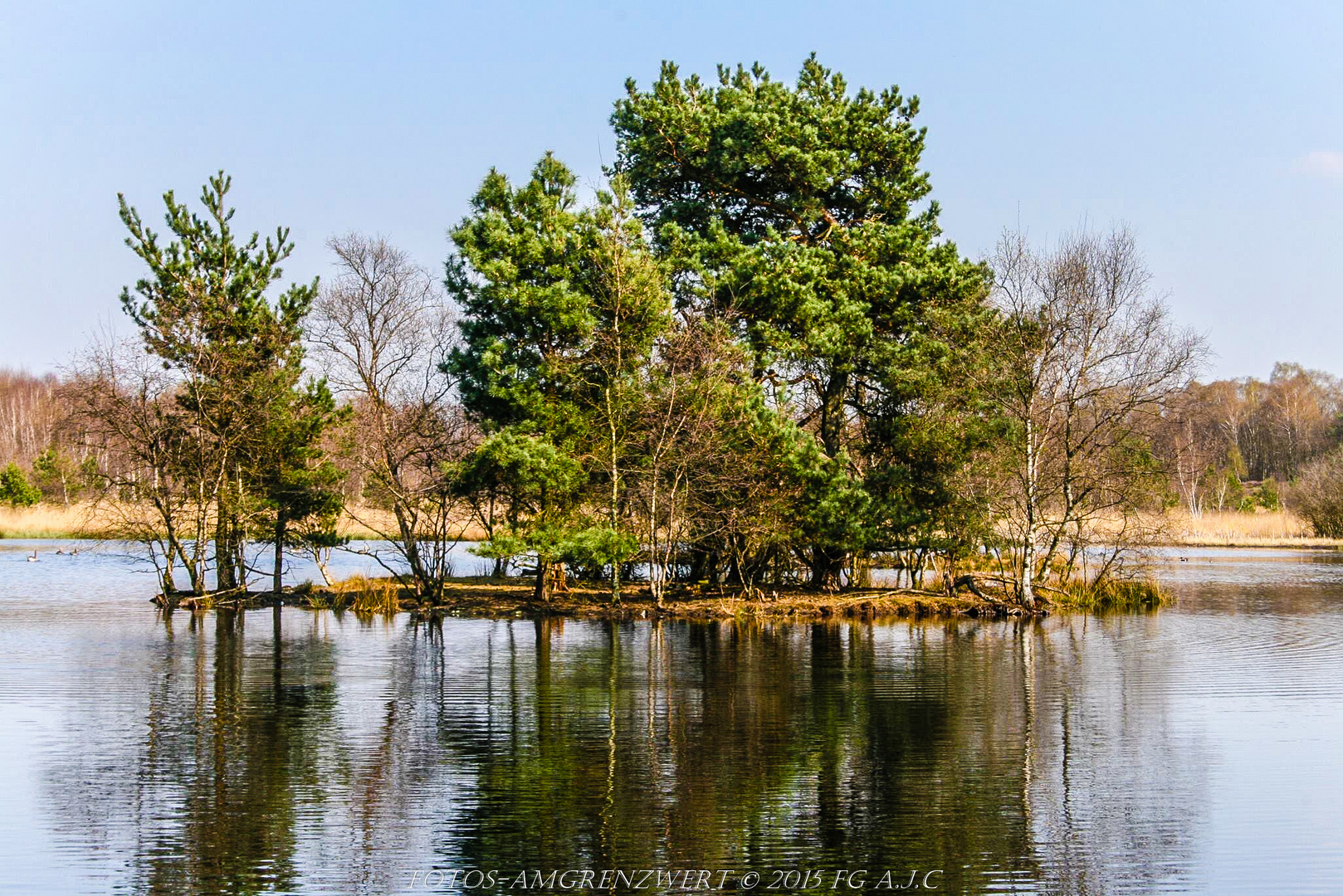 Versteckte Insel im Gildehauser Veen