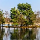 Versteckte Insel im Gildehauser Veen