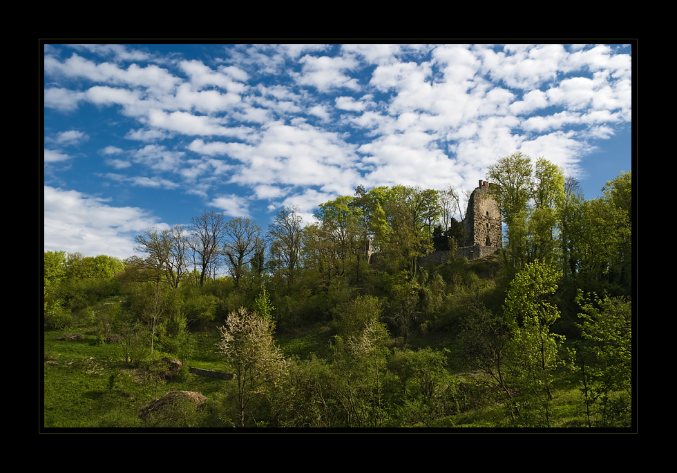 (Versteckte) Ruine Neuburg