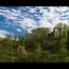 (Versteckte) Ruine Neuburg