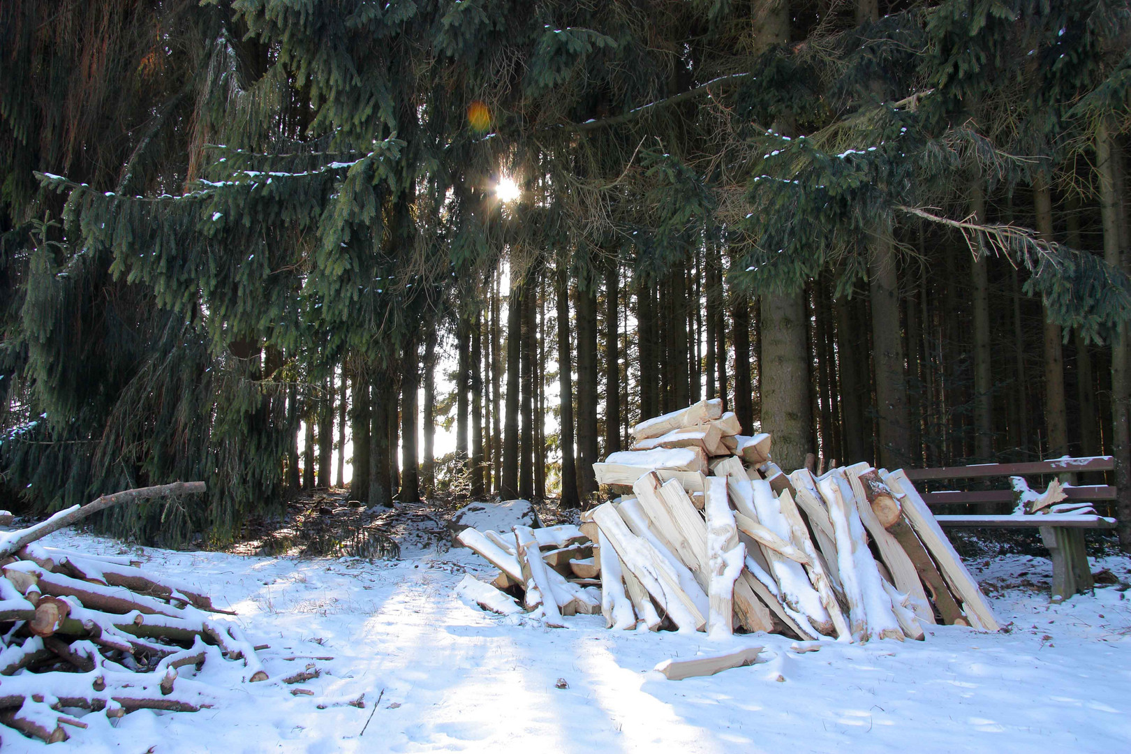 versteckte Wärme im kalten Schwarzwald