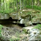 Versteckte Waldschlucht