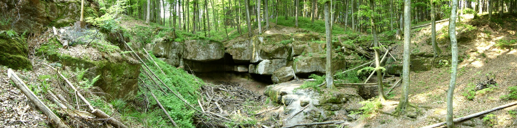 Versteckte Waldschlucht