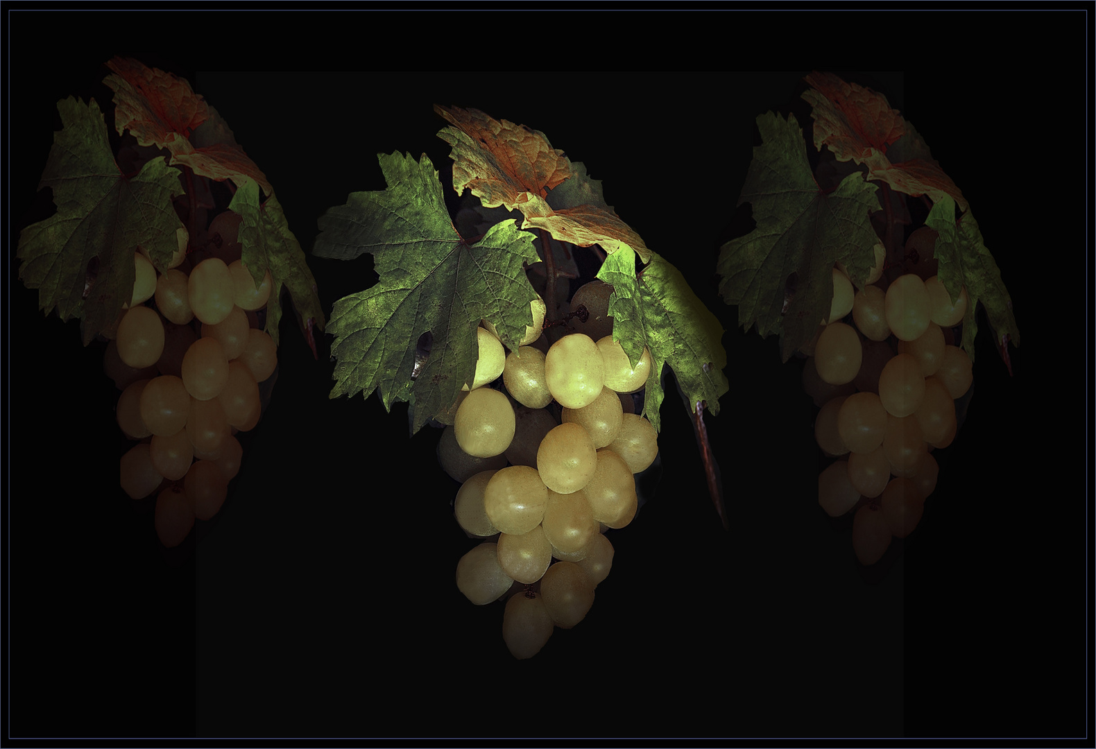 Versteckte Weintrauben