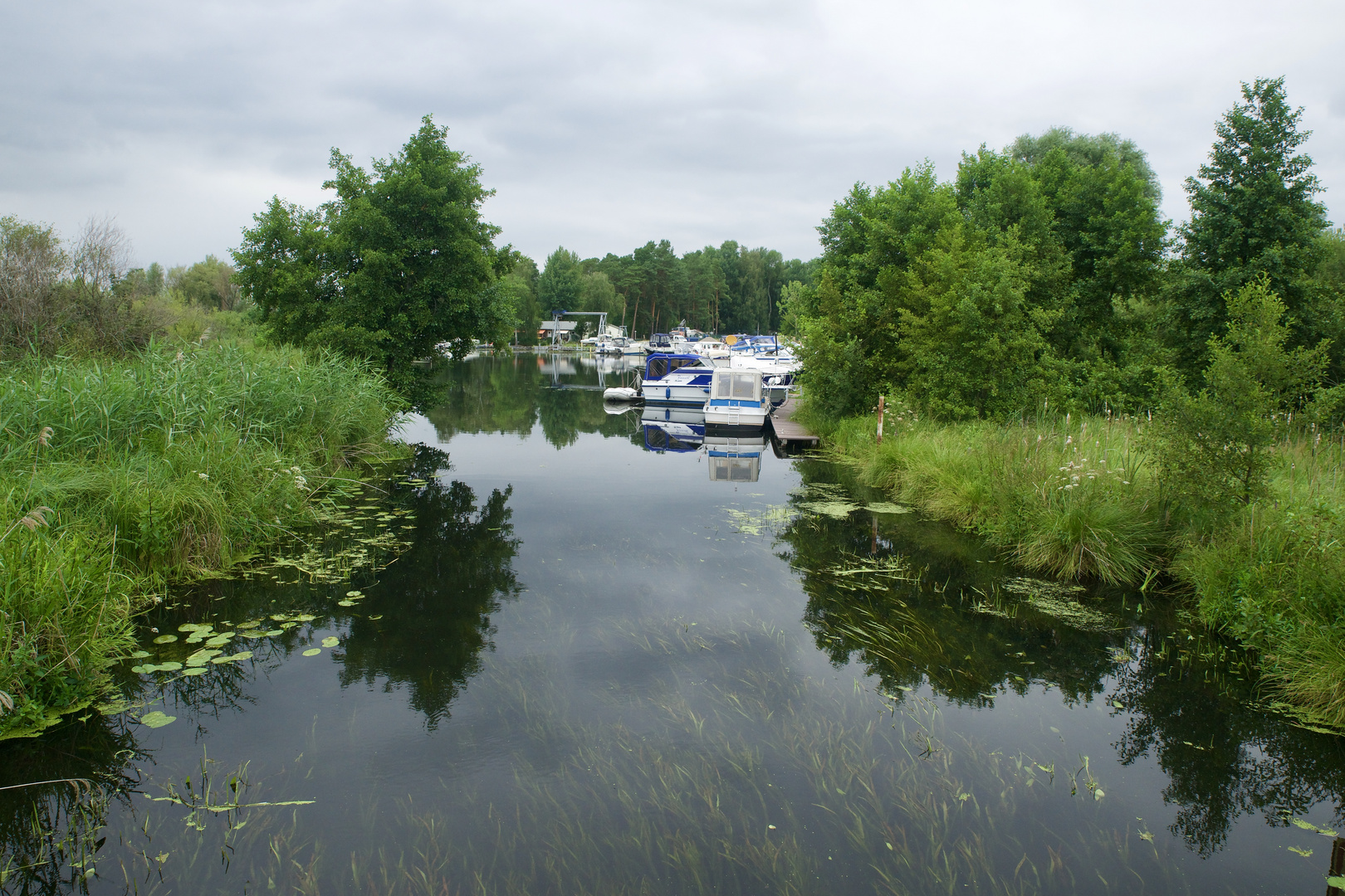 Versteckter Hafen am Schwielochsee