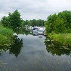 Versteckter Hafen am Schwielochsee