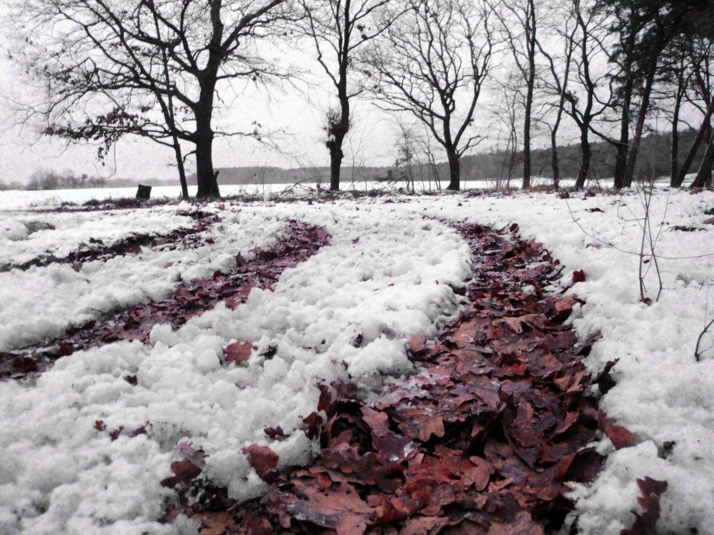 Versteckter Herbst