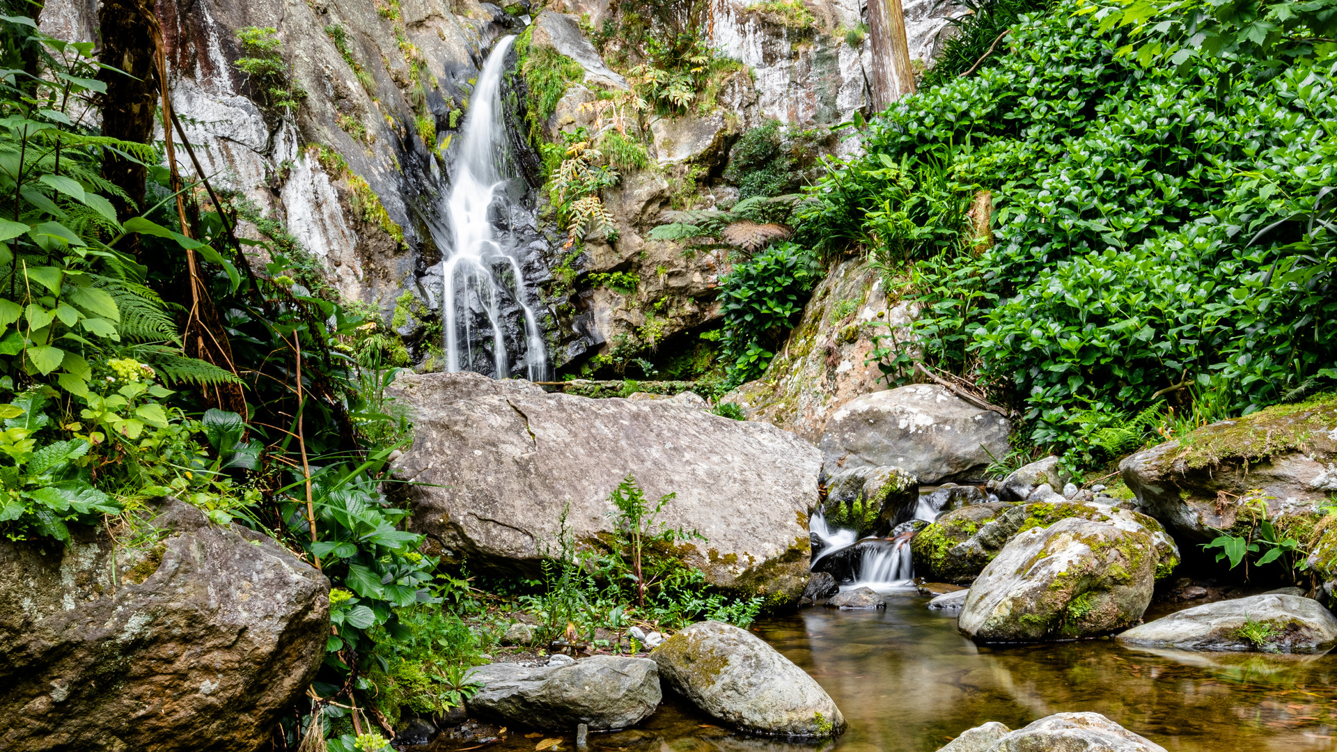 versteckter Wasserlauf