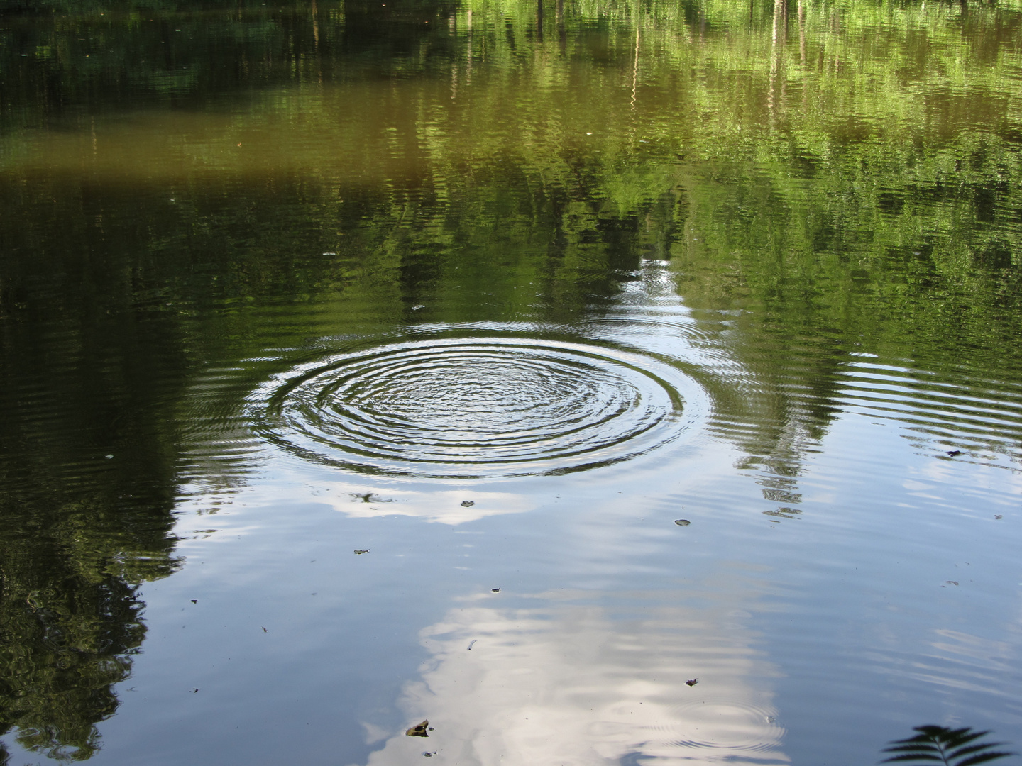 Versteckter Weiher