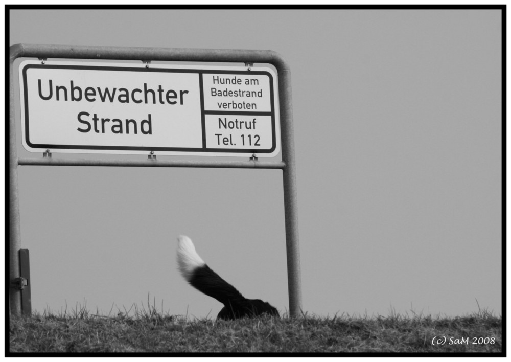 Versteh einer die Menschen - ich geh spielen