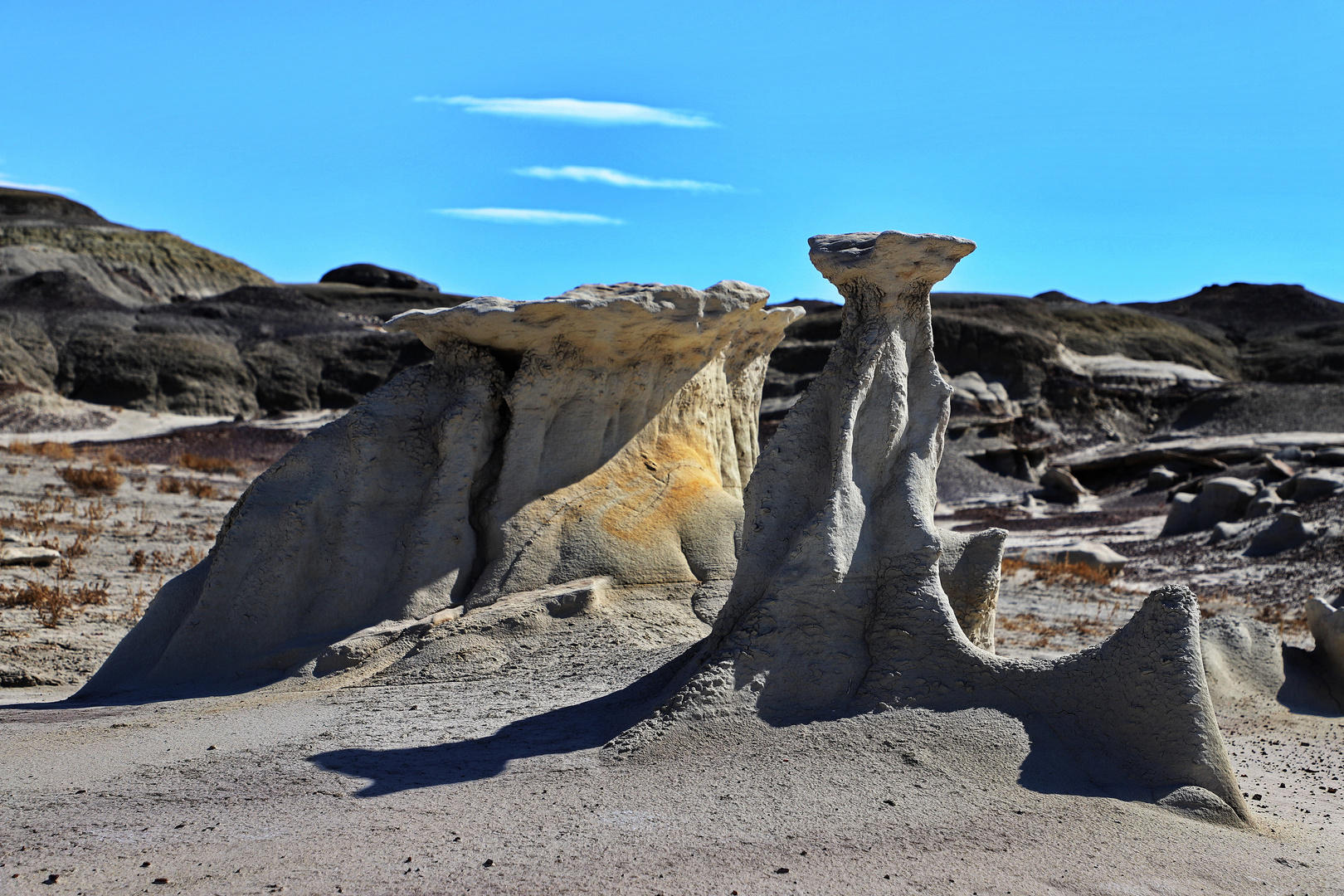 Versteinerte Aliens in den Bisti Badlands/New Mexico