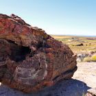 Versteinerte Bäume, Petrified Forest, USA