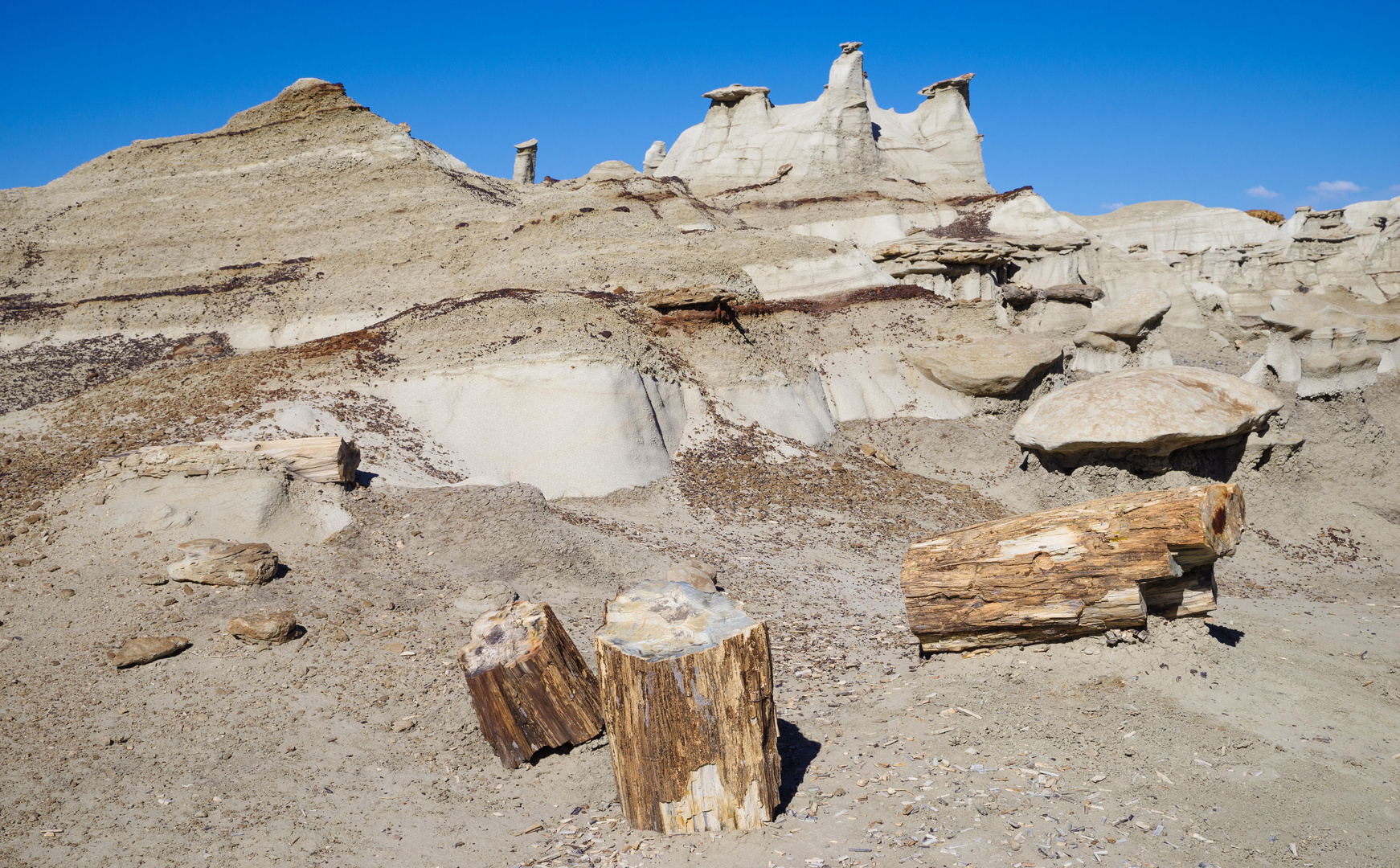 Versteinerte Baumstämme in den Bisti Badlands