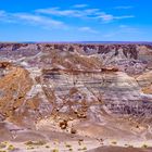 Versteinerte Baumstämme in den Blue Mesa