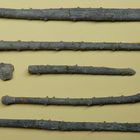 Versteinerte Seeigelstachel aus der Jurazeit - Rhabdocidaris horrida