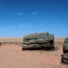 Versteinertes Holz in der Sahara 