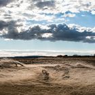 verstrickt im braunen Sumpf - dunkle Wolken ziehen auf