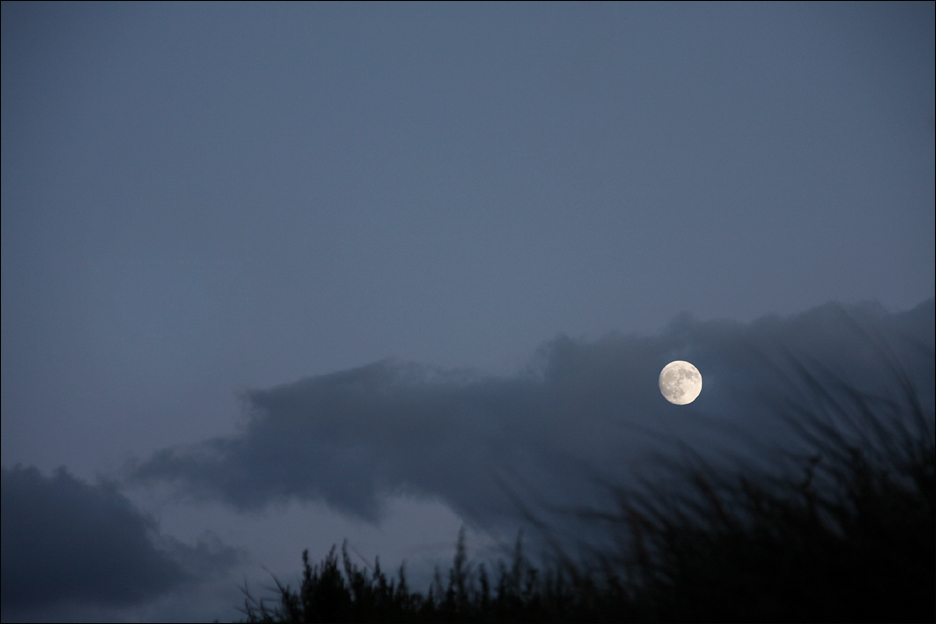 Versuch den Mond zu berühren...