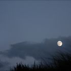 Versuch den Mond zu berühren...