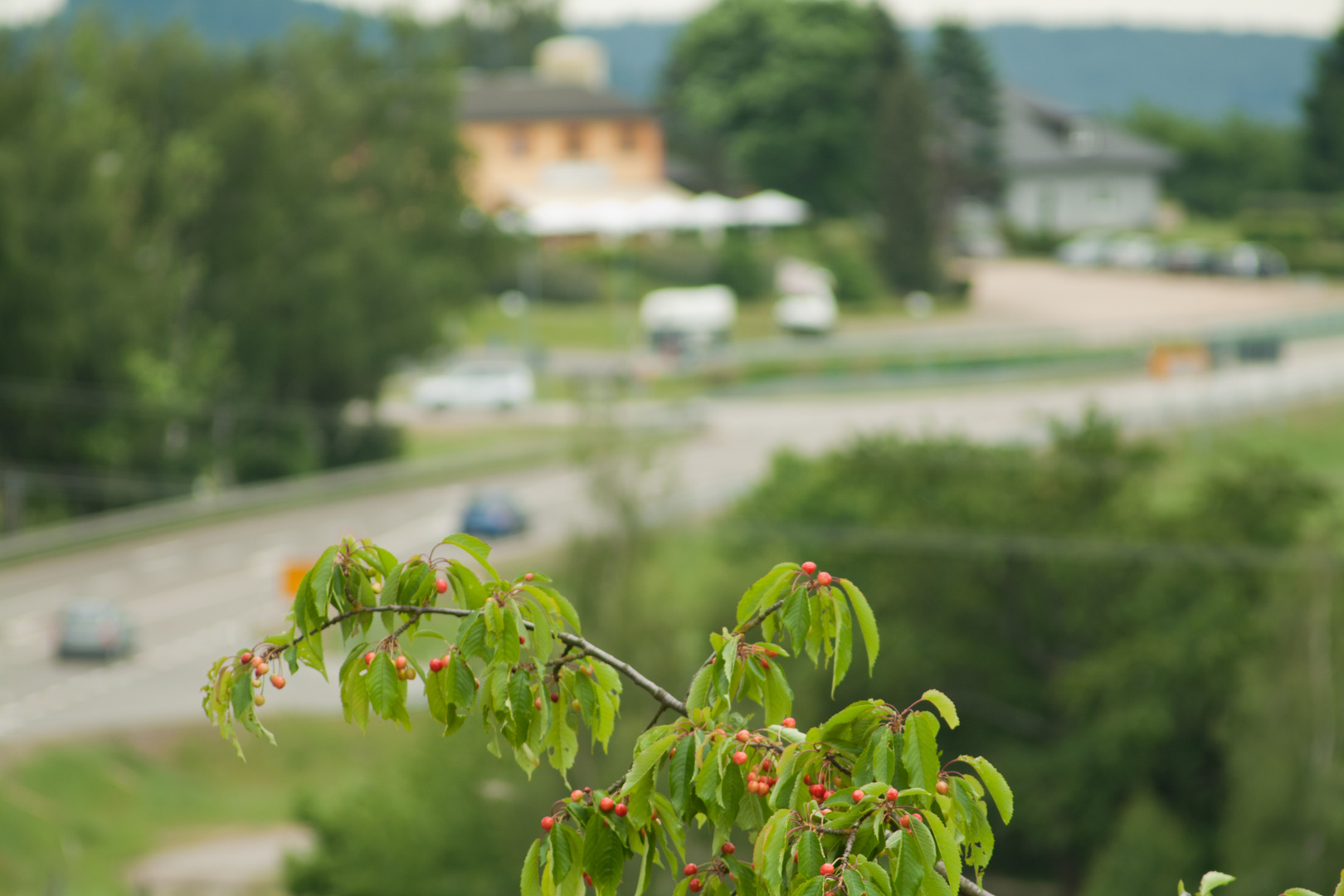 Versuch eines Bokeh-Fotos