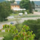 Versuch eines Bokeh-Fotos