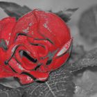 Versuch in s/ & Color Key - Im Namen der Rose...