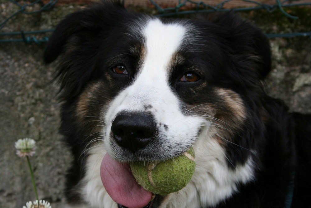 Versuchs doch mir den Ball wegzunehmen...