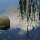 Versunken im Meer der Träume... unbearbeitet