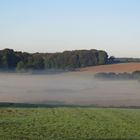 Versunken im Morgennebel