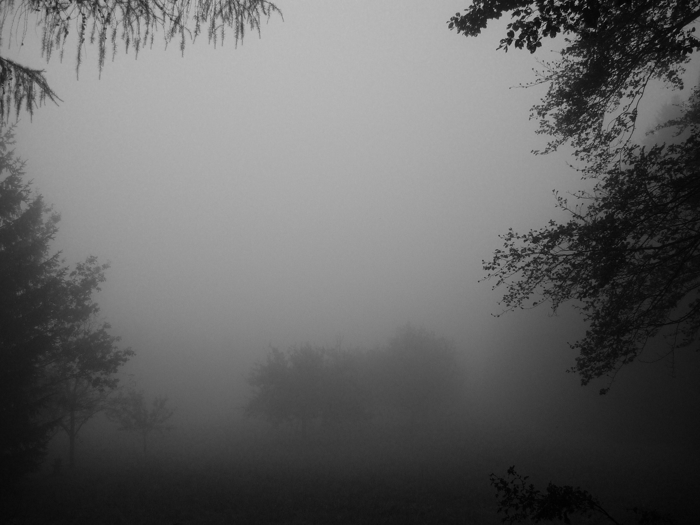 Versunken im Nebel