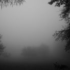 Versunken im Nebel