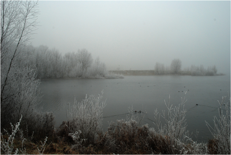 Versunken im Nebel