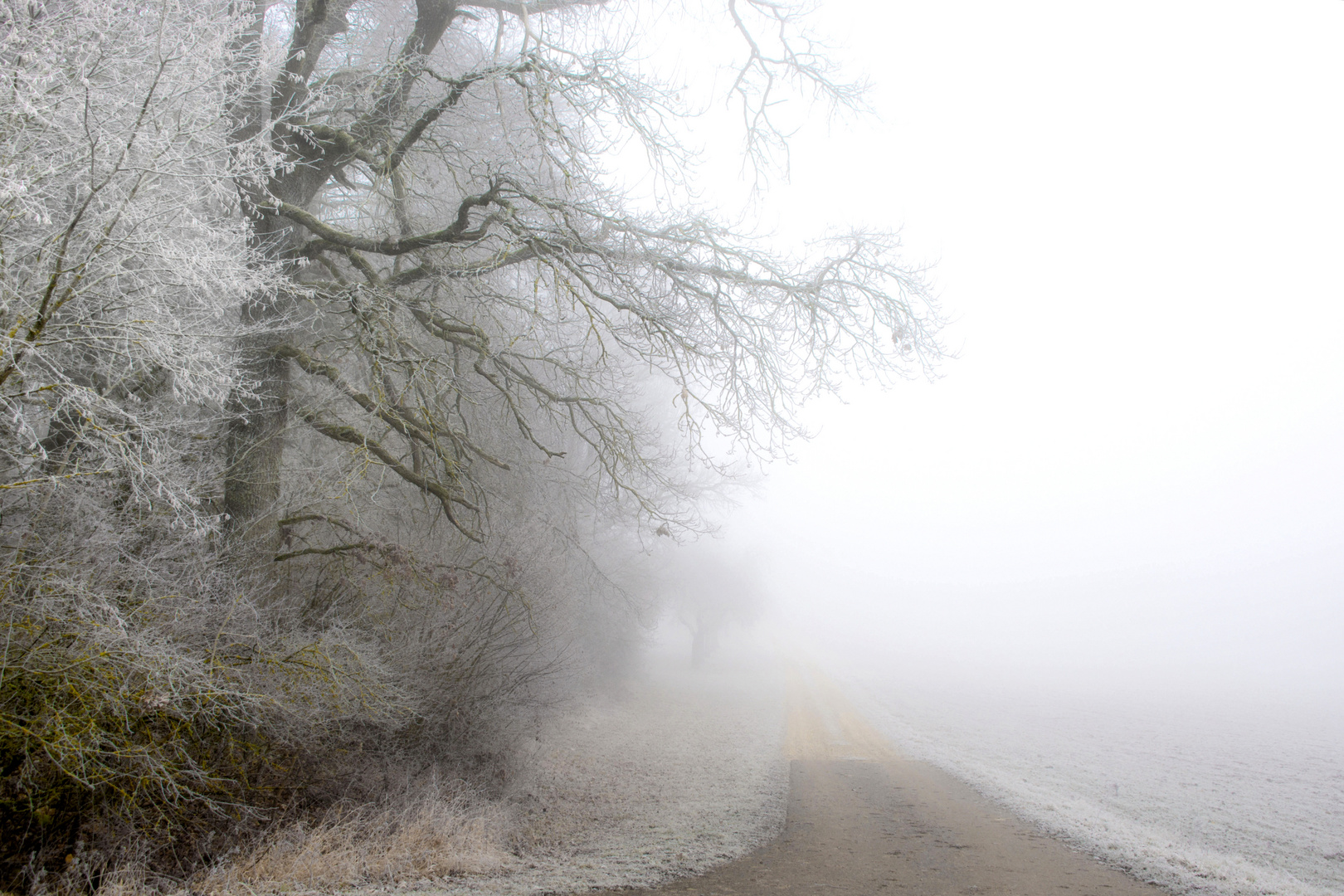 Versunken im Nebel