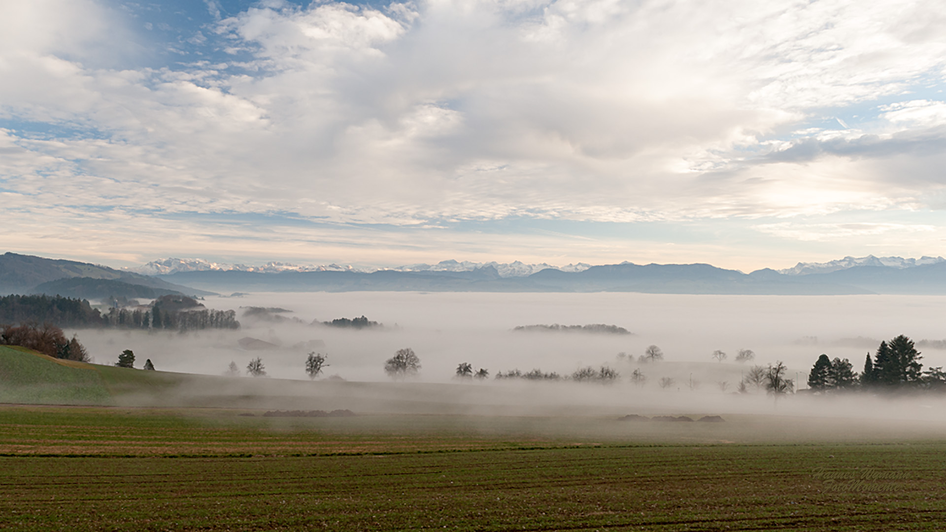 Versunken im Nebelmeer