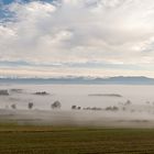 Versunken im Nebelmeer