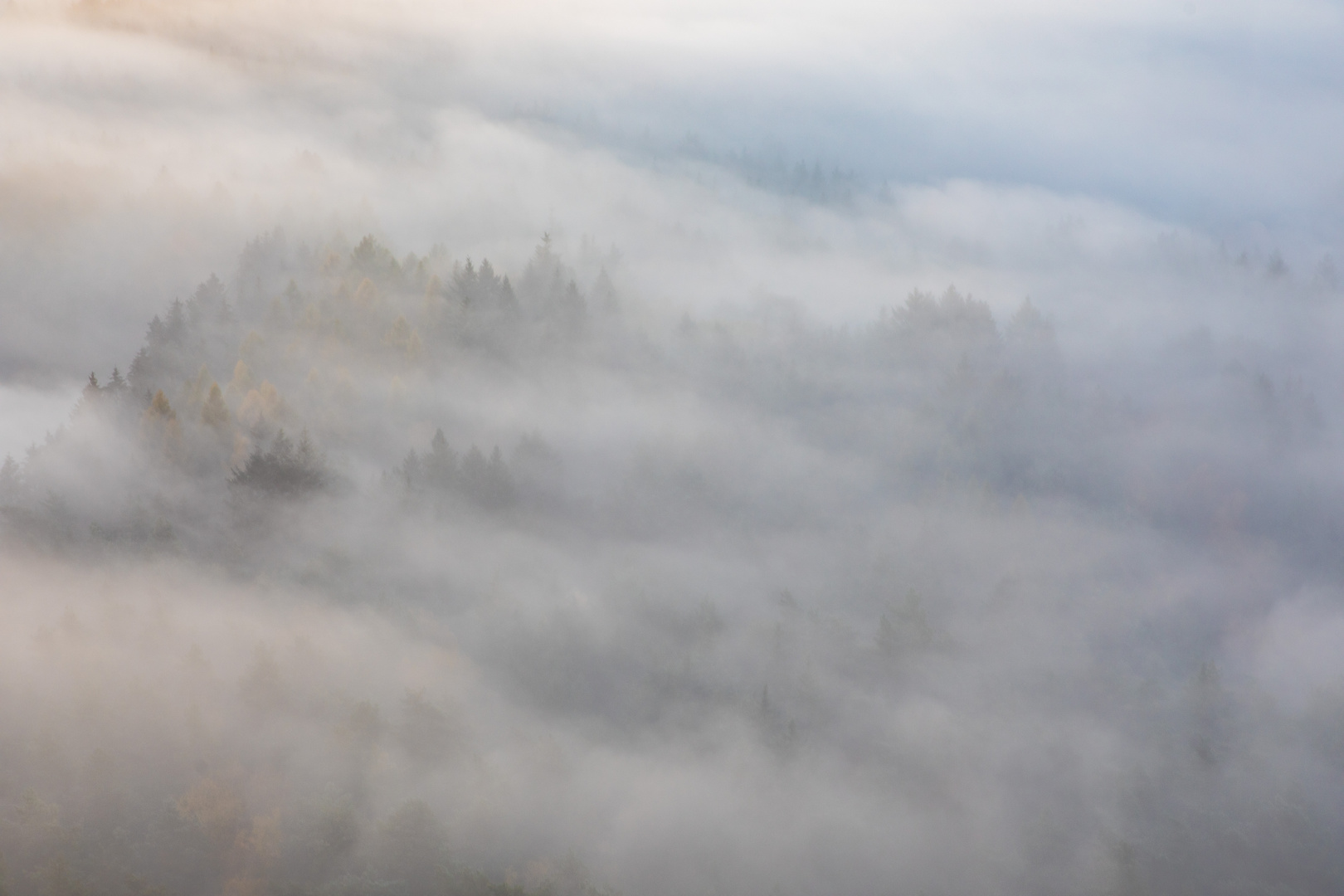 Versunken im Nebelmeer