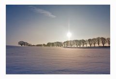 Versunken im Schnee.