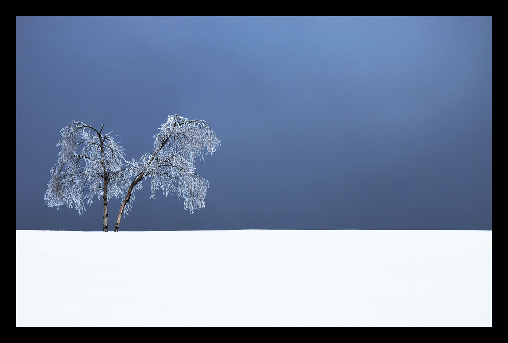 Versunken im Schnee