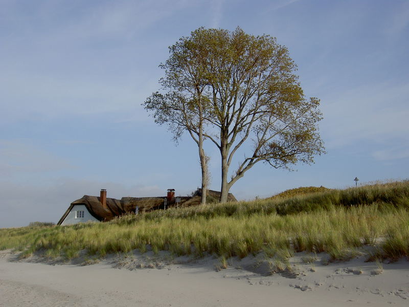 versunken in den Dünen