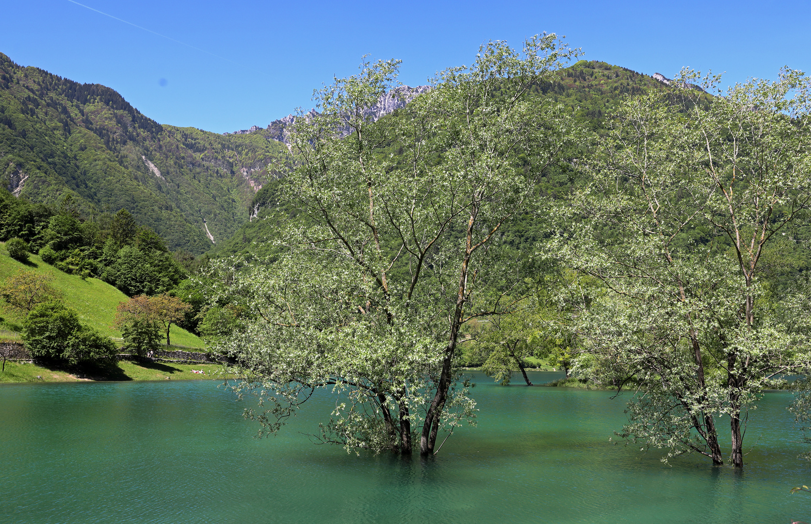 Versunkene Bäume Foto &amp; Bild | landschaft, bach, fluss &amp; see, see ...