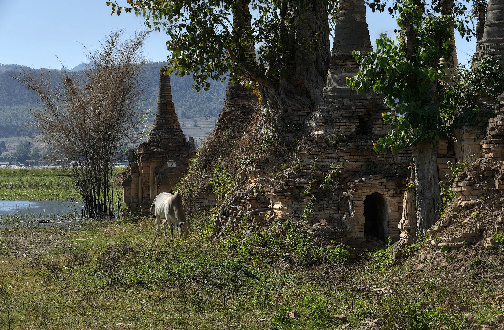 Versunkene Stupas von Sagar