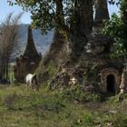 Versunkene Stupas von Sagar