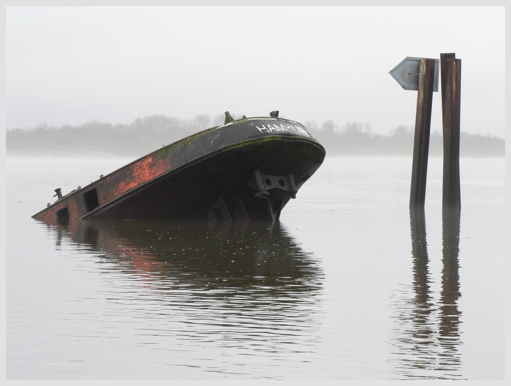 Versunkenes Schiff an der Elbe