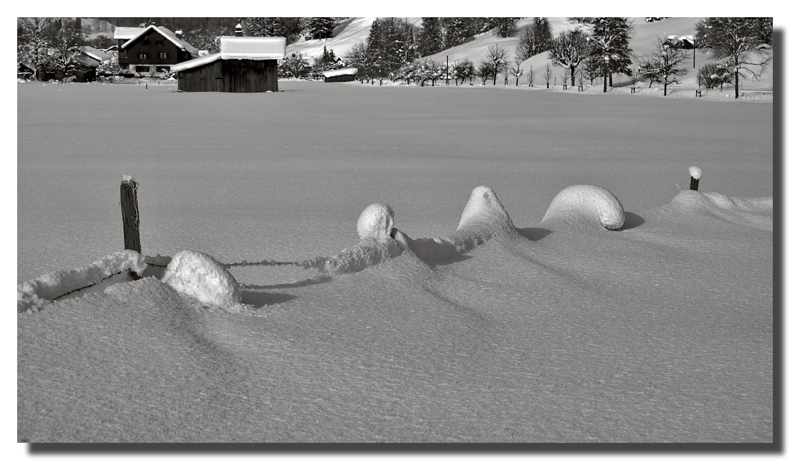 Versunken................im Schnee